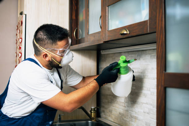 Best Flea Control Services  in Pawhuska, OK