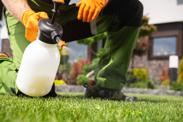 Best Pest Inspection Near Me  in Pawhuska, OK