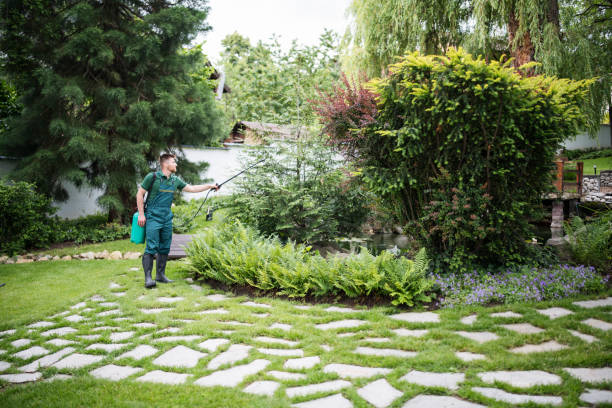 Best Local Pest Control Services  in Pawhuska, OK