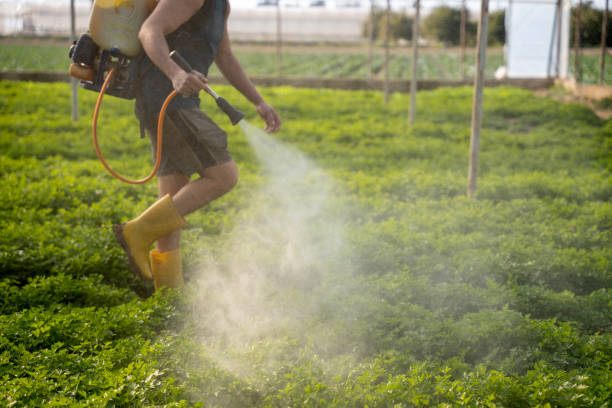 Best Affordable Pest Control Services  in Pawhuska, OK