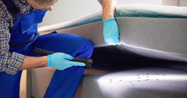 Best Wasp Removal Services  in Pawhuska, OK
