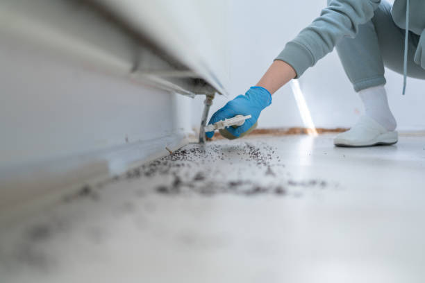 Best Mosquito Control Services  in Pawhuska, OK